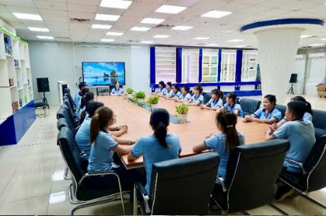 lĩnh vực hoạt động